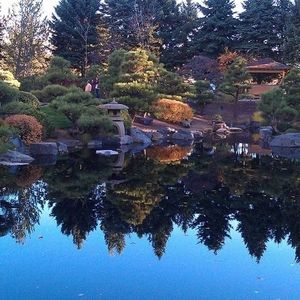 Meet your Posher, Candy